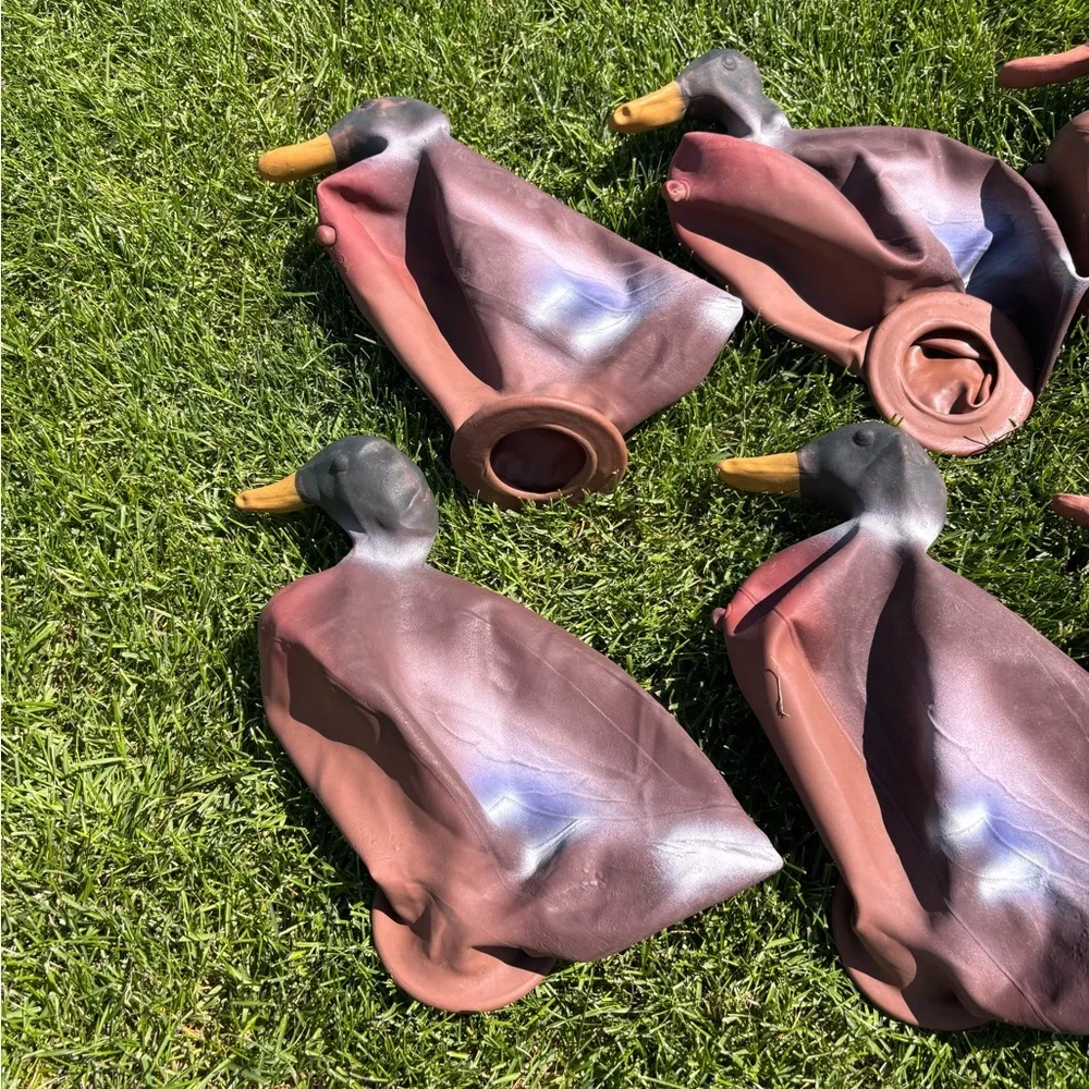 Vintage Duck Hunting Decoys Set - Picture 4 of 10